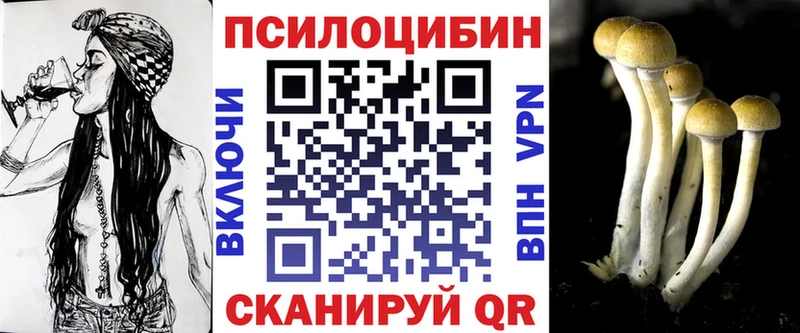 Псилоцибиновые грибы Psilocybe  Купить  Шуя 
